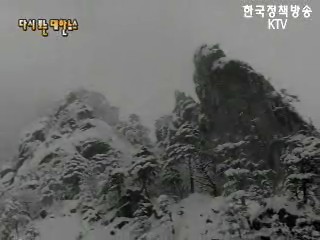 연초에 큰 눈(73`) 등 이미지