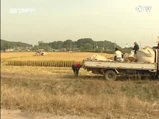 쌀 직불금, 1만㎡ 이상 경작시 지급