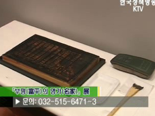 플러스 덤