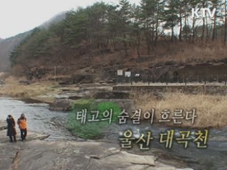 태고의 숨결이 흐른다 - 울산 대곡천