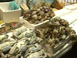 자율관리어업에 정부 지원 확대