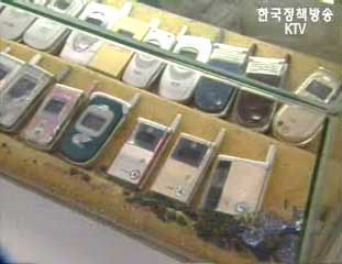 휴대전화 전자파 기준, 전신으로 확대