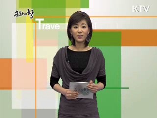 깊어가는 가을 '2009년 문화의 달 인천'