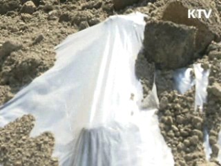 주말 강우 대비, 매몰지 관리 강화