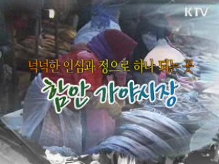 넉넉한 인심과 정으로 하나 되는 곳, 함안 가야시장