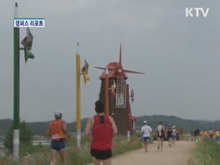 에코싱싱 함안 둑방마라투어