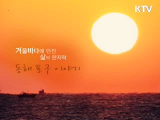 겨울바다에 던진 삶의 한자락 - 동해 포구 이야기