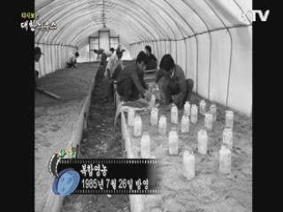 다시보는 대한늬우스 (85.07.26) 이미지
