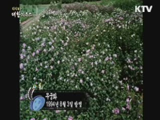다시보는 대한늬우스 (94.08.03) 이미지