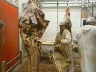 美 농무, 쇠고기 통관 거부 거듭 비판