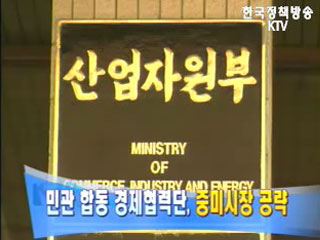 민관 합동 경제협력단, 중미시장 공략