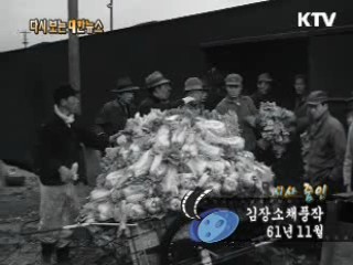 김장소채풍작(61') 이미지