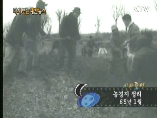 농경지 정리(65') 이미지