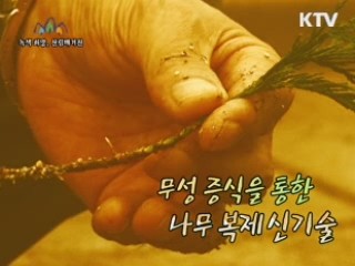 무성 증식을 통한 나무 복제신기술