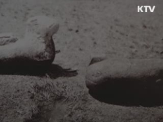 사진으로 본 '안동 문화재 100년'