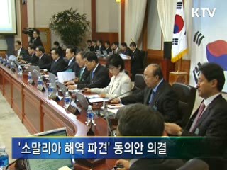 소말리아 해역, 국군 함정 파견