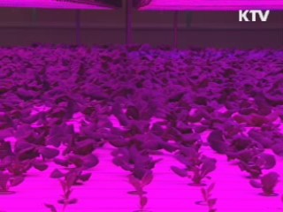 전국 도심텃밭·주말농장 등 8천곳 조성