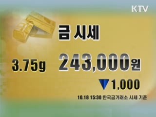 증시정리 환율 금시세