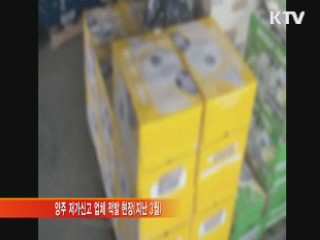현금 불법 반출입 8천억원 적발