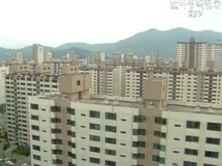 호가거품 빠진다