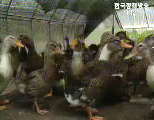 한중일 신종전염병 공동대응 의향서 채택