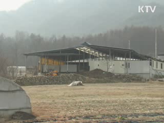 정부, '여행자제' 당부…보상금 선지급