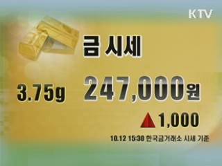 증시정리 환율 금시세