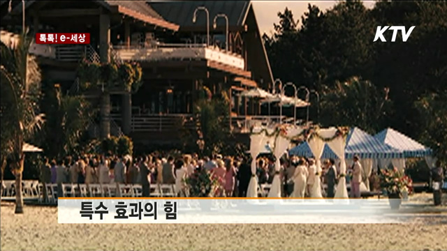 달리는 트럭에서 자전거 묘기 '아찔' [톡톡! e 세상]