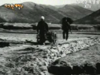 농사용 손수레 보급(`62) 이미지