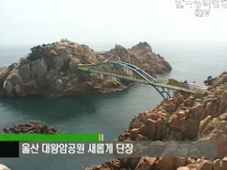 플러스 덤