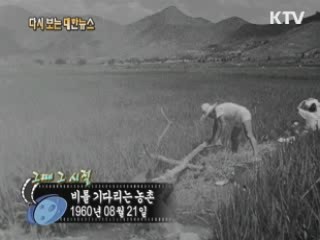 비를 기다라는 농촌(60') 이미지