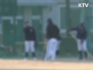 감사원, 대학 입시·편입학 부조리 대거 적발