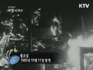 다시보는 대한늬우스 (60.10.11) 이미지