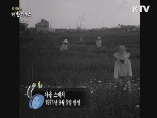 다시보는 대한늬우스 (71.09.06) 이미지