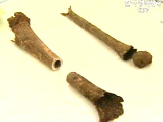 올해 6.25 전사자 유해 175구 발굴