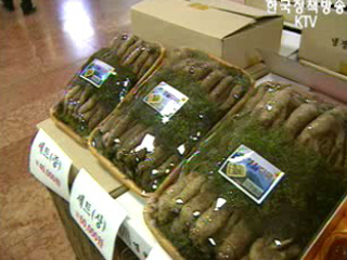 정부청사에 추석맞이 직거래 장터 개설