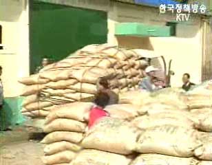 쌀 농사 수입 10년만에 최저