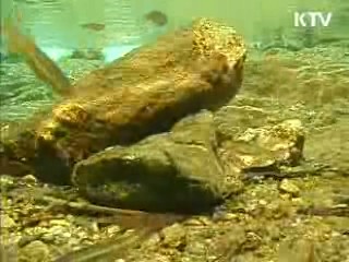 "낙차공 설치, 생태 파괴 없을 것"