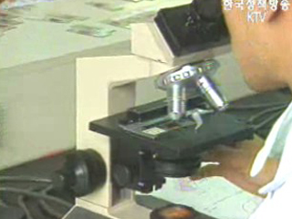 대학 연구비 5년 동안 2배로 늘어나