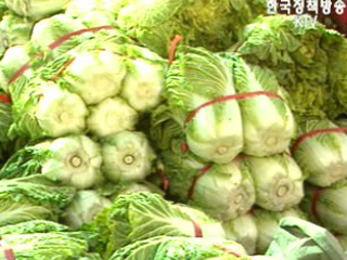 올 김장 비용 10% 이상 감소 예상