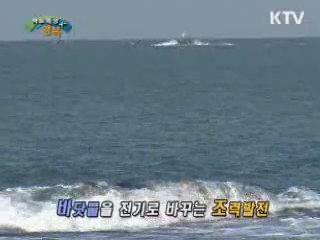 바닷물로 미래를 움직인다! - 시화호 조력발전소