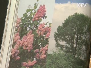 생각을 키우는 책