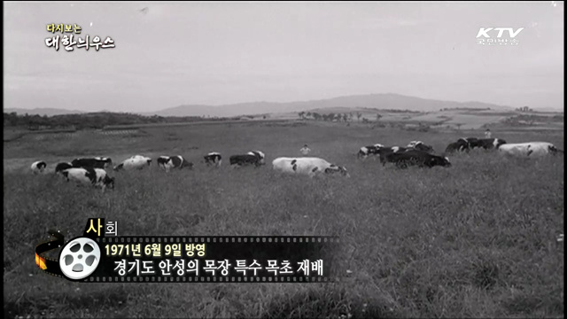 다시보는 대한늬우스 (71.06.09) 이미지