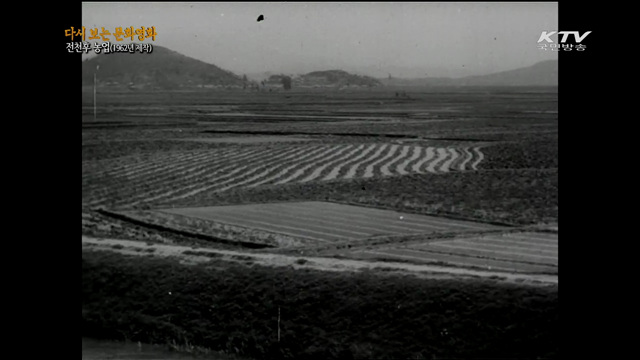 전천후 농업(1962년 제작)