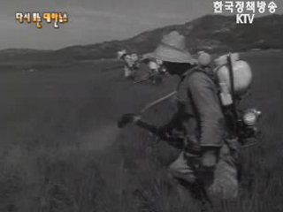 밝아오는 새 농촌(`68) 이미지