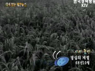 결실의 계절('68) 이미지