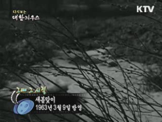 다시보는 대한늬우스 ('63.03.09) 이미지