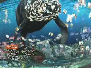영상뉴스