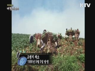 다시보는 대한늬우스 (65.09.05) 이미지