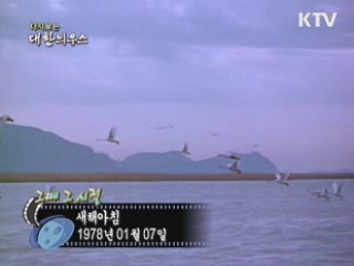 새해아침 등(78년) 이미지
